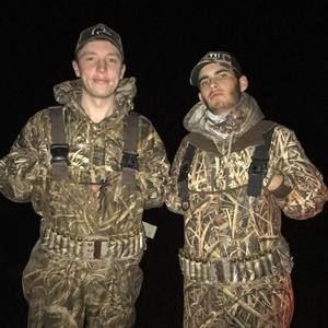 Meet your Posher, Harry